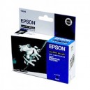 T054840 ENCRE NOIRE 